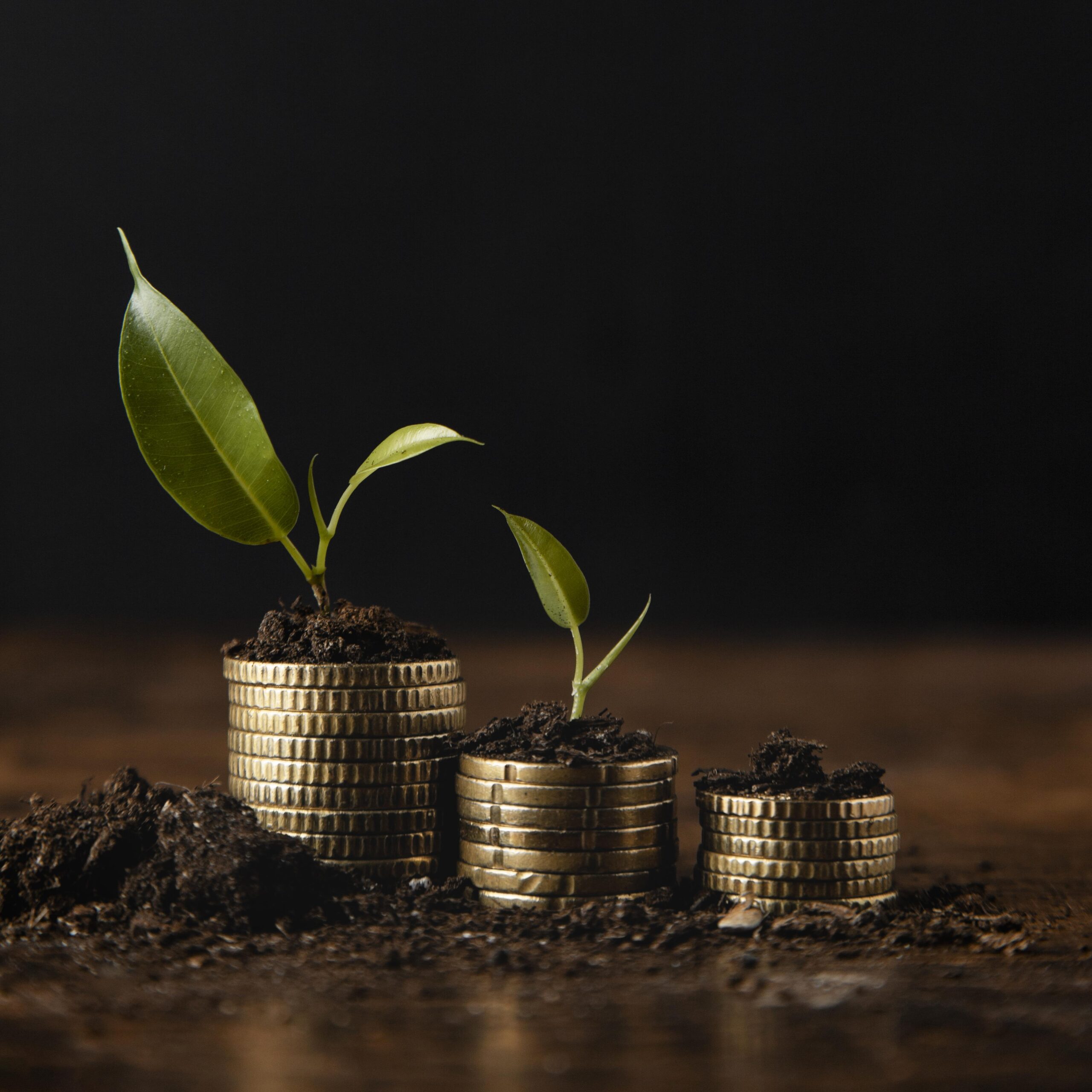 Thiam & Associés advised Afreximbank and Vista Bank Group on a landmark €500 million sovereign loan to the Republic of Guinea